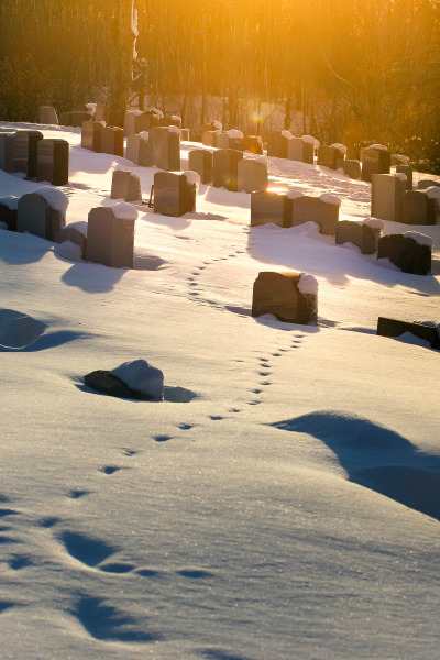 Winter cemetery